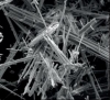 Roadshows will focus on asbestos