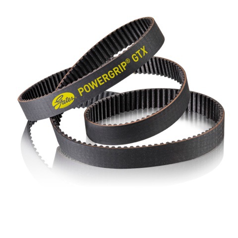 pggtx_belt