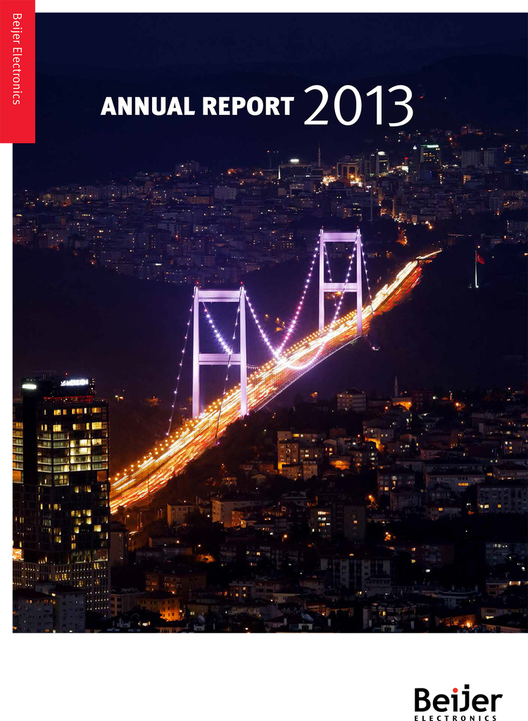 annual report 2013