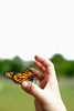 environment_16-2000pix