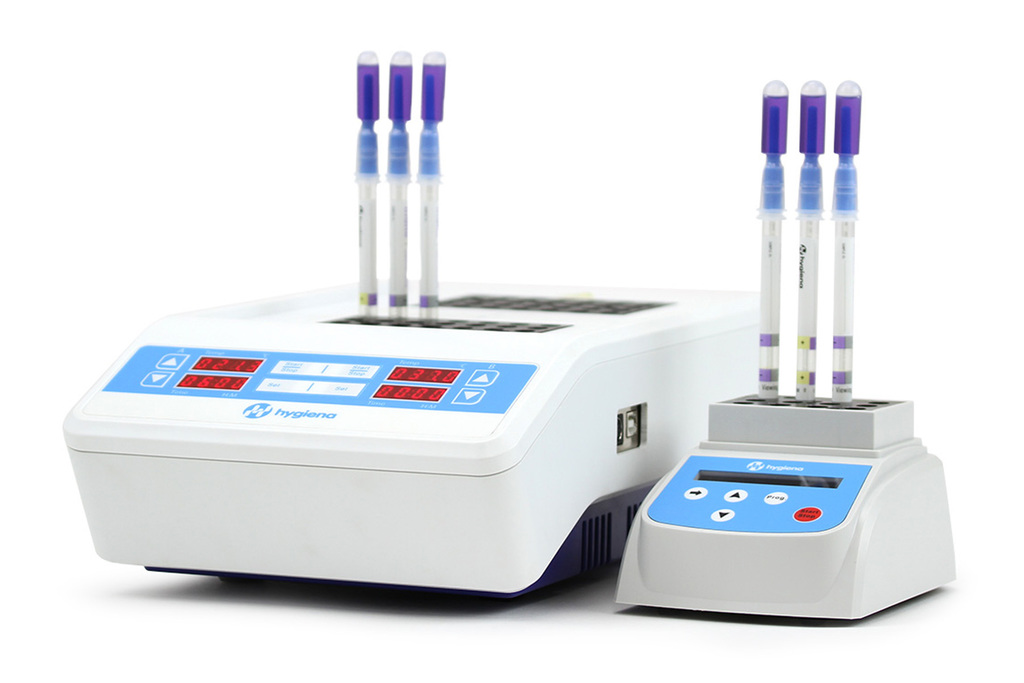 isolation-and-identification-of-salmonella-e-coli