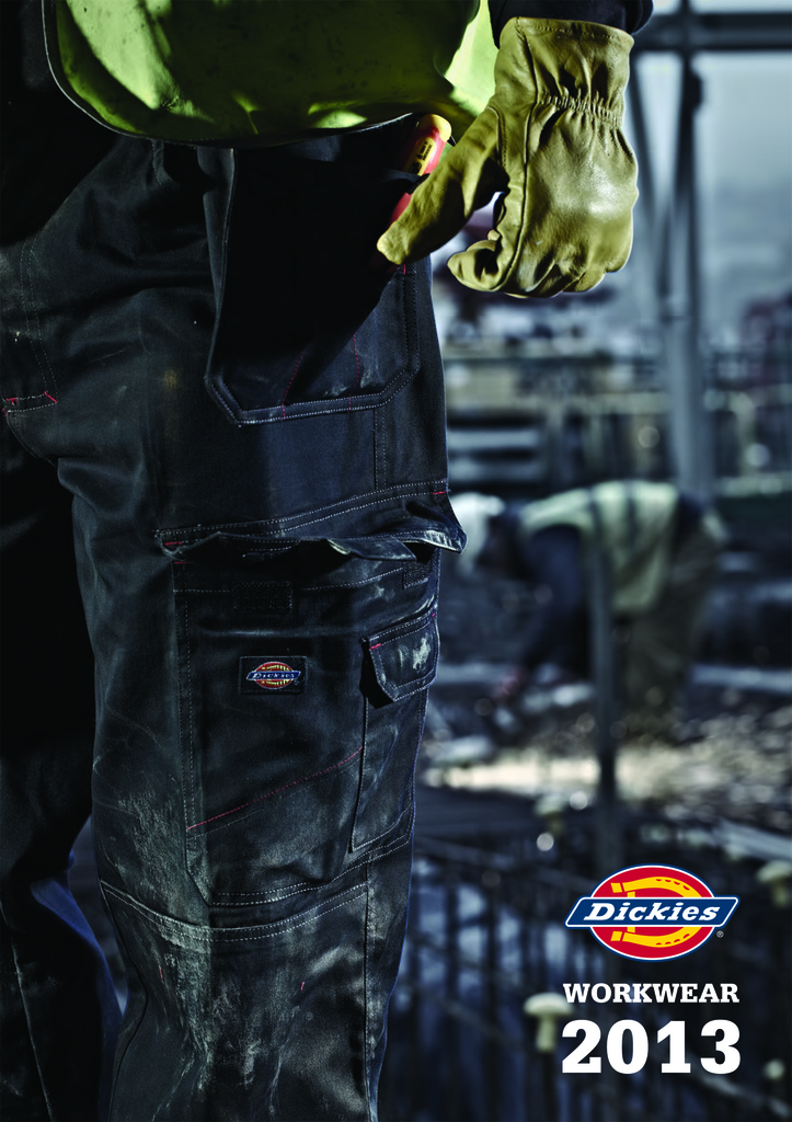 Dickies 2