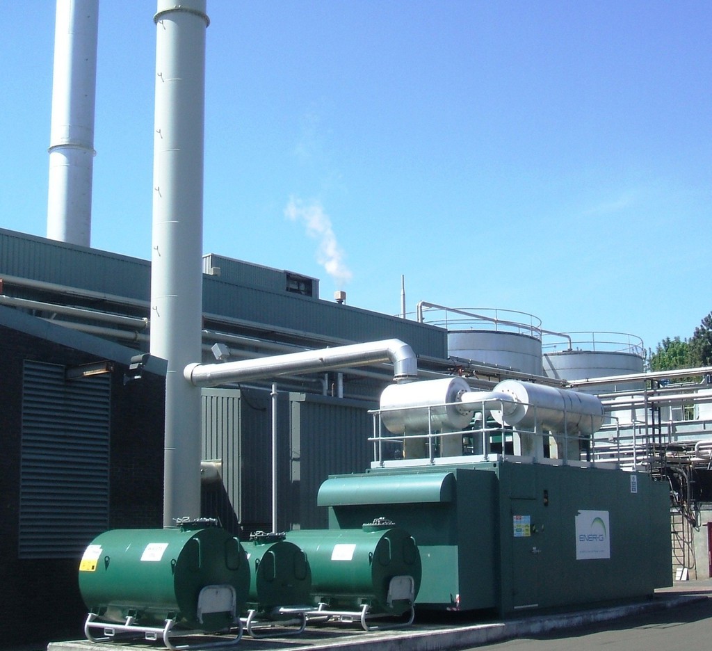 ener-g image