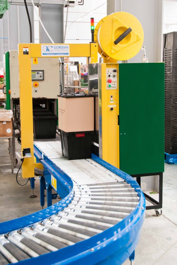 IPE Strapping machines