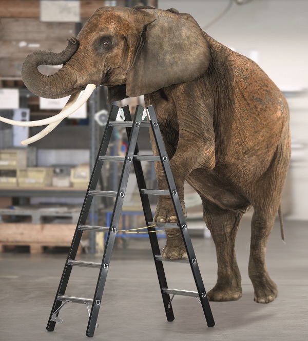 black_ladders_elephant