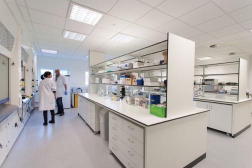 yorkon warwick university 7028-31