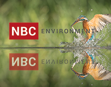 NBC