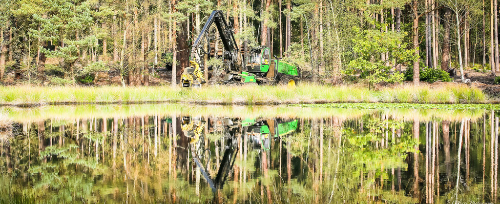 coombes forestry 2