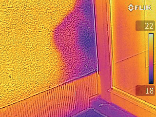 flir847 building thermal