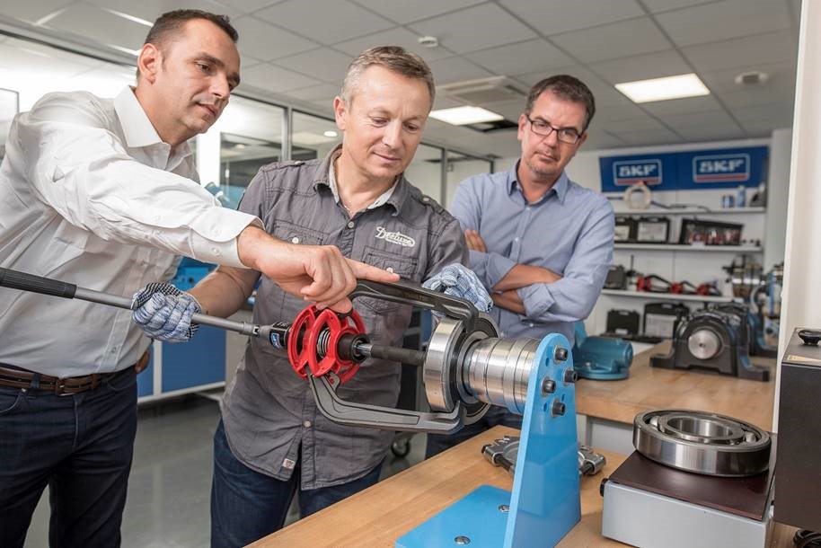 skf1