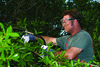 man trimming the tree