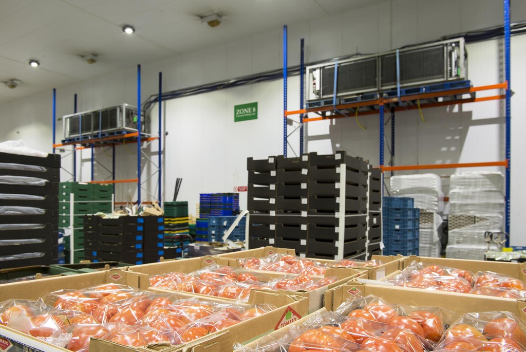 reynolds foods-1503