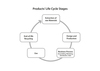 life cycle stages