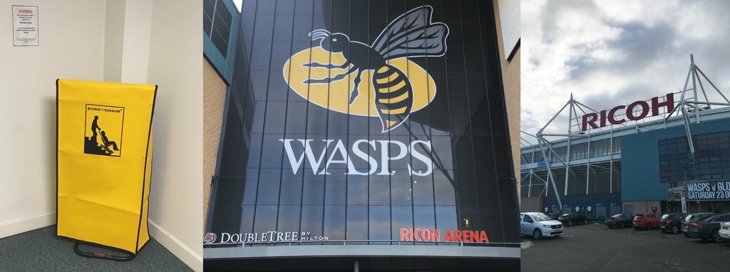 wasps rugby club image