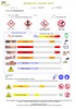 esl wasps image_3