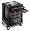 rs767-facom_100-anniversary_promotion