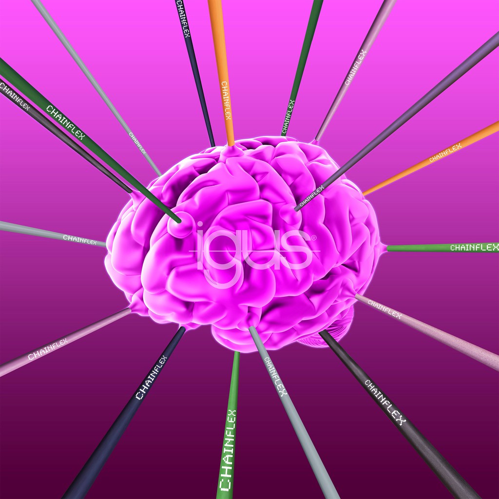 igus1