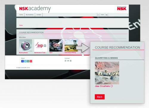 nsk image