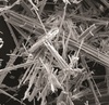 asbestos fibres